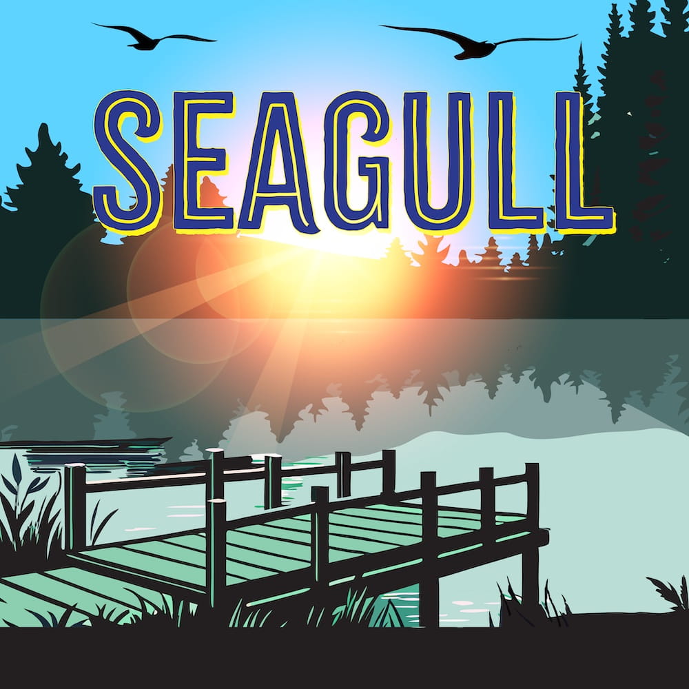 The Seagull